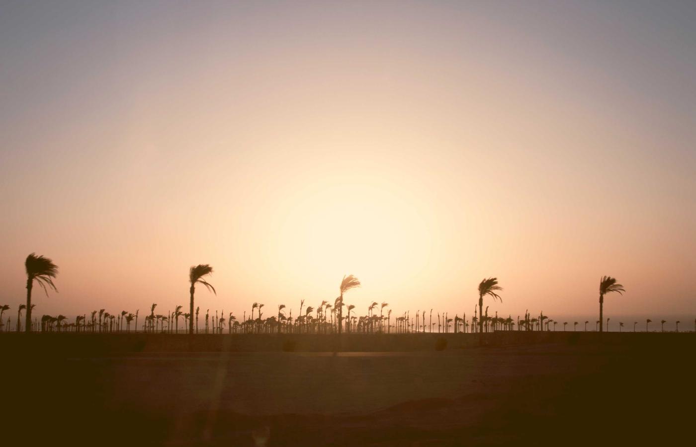 Portrait photo of a woman