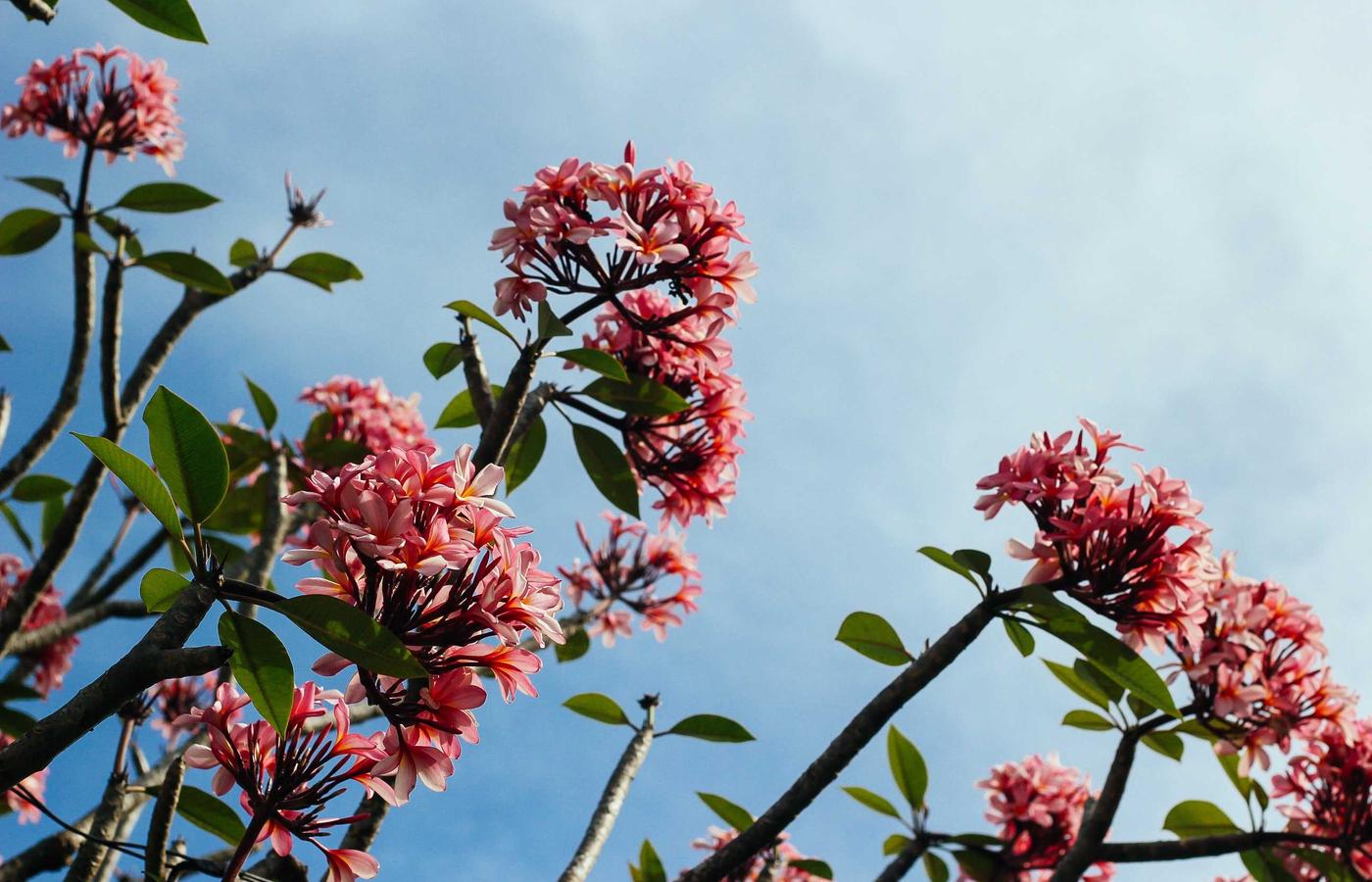 Portrait photo of a professional woman